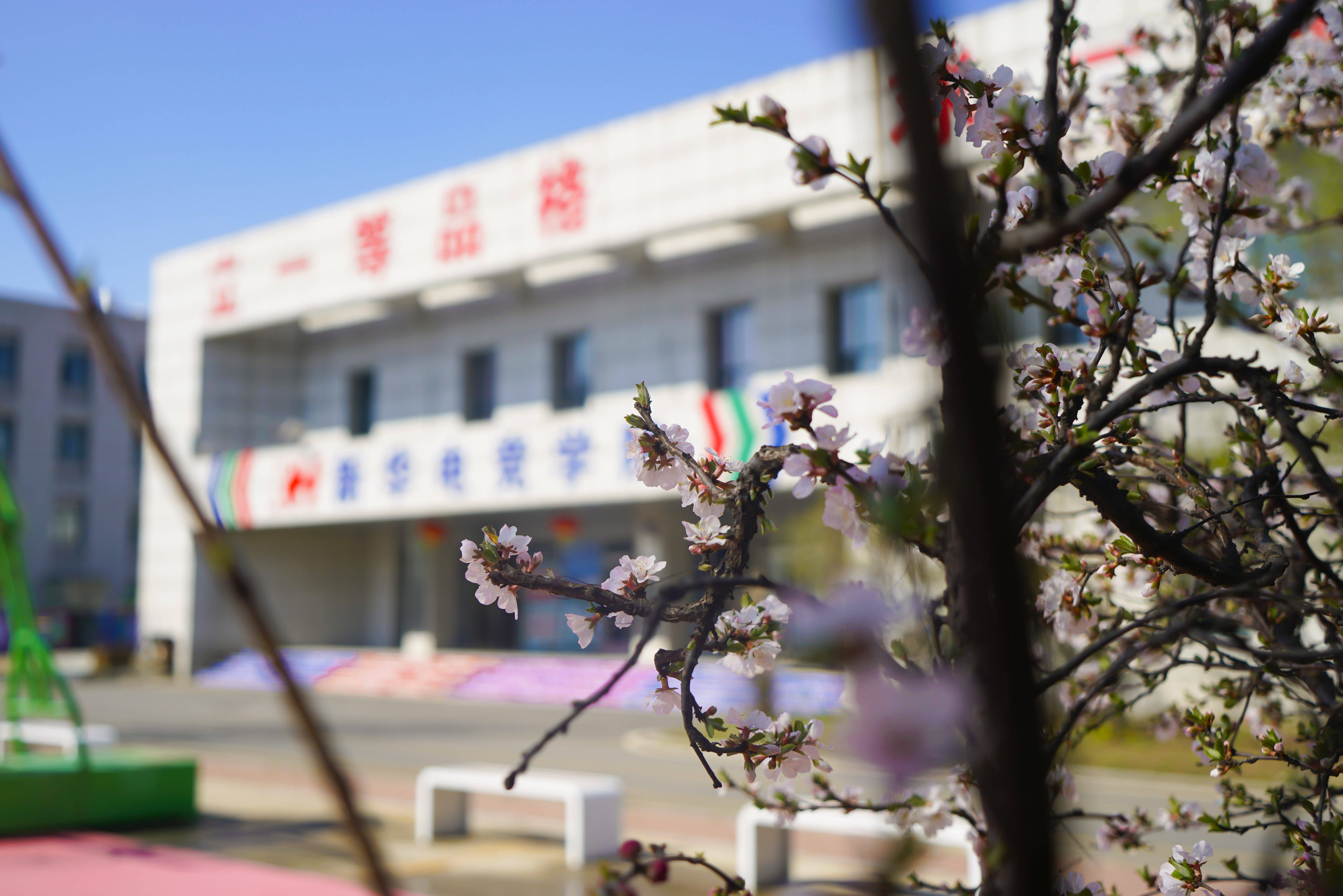 麻将胡了-盘点沈阳新华电脑学校推荐，电竞专业就业前景及电话QQ号揭秘